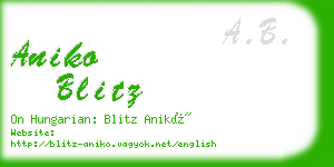 aniko blitz business card